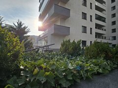 Grozavesti, inchiriere apartament 2 camere, bloc nou, etaj 3, mobilat